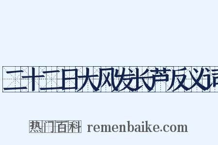 二十二日大风发长芦反义词是什么意思的图片